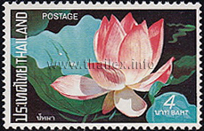 Thai Lotus