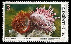Sea Shells (2nd Series)