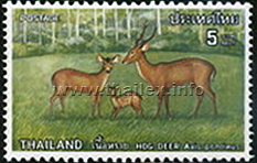 Hog Deer (Axis porcinus)