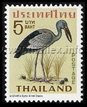 Asian Openbill Stork (Anastomus oscitans)