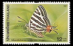 Long-banded Silverline (Spindasis lohita)