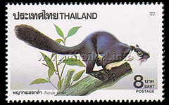 Wild Animals Issue - 5th Series