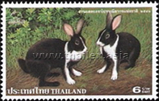 Thaipex '99 - Thai Rabbits