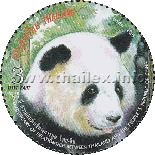 the Giant Panda Chuang-Chuang