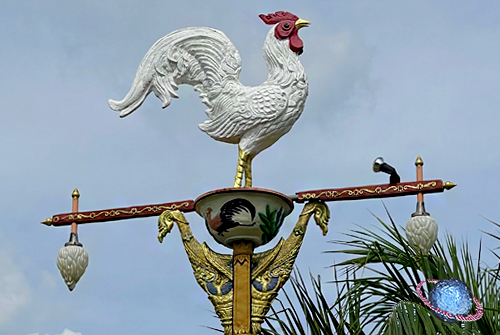 Rooster with Lampang Pottery Street Lantern, Tambon Sop Tui, Amphur Meuang, Lampang