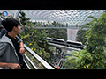 Jewel Changi Airport's Rain Vortex