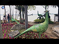 Phayao Peacock Park