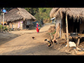 Tha Soot Village: Where Thai Hill Tribes Unite