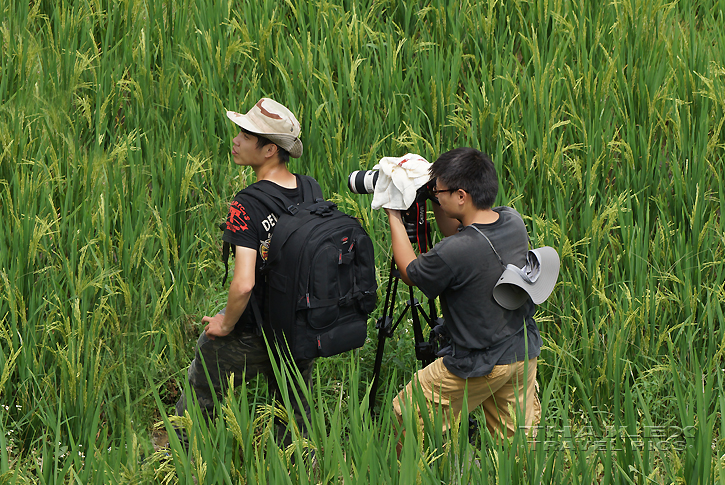 Photographic Team, Longsheng (China)