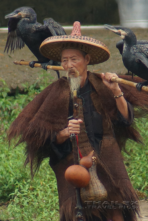 Cormorant Fisherman