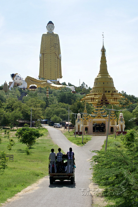 Big Buddha