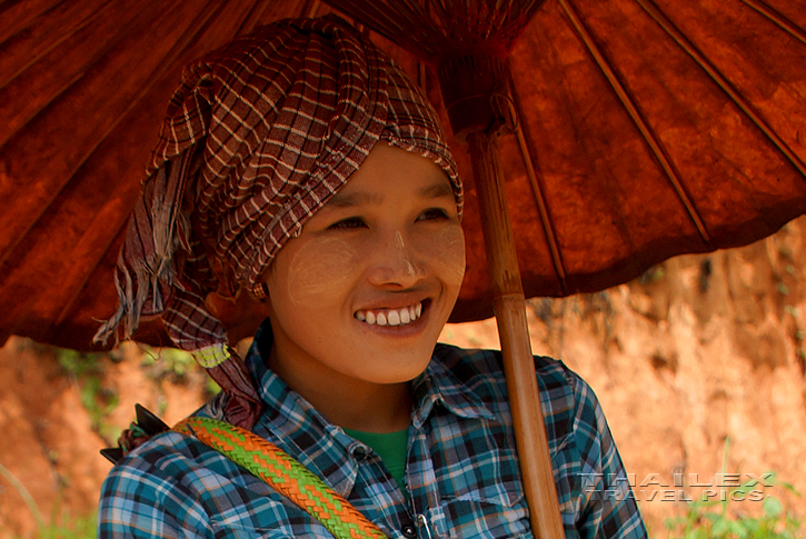 Burmese Umbrella