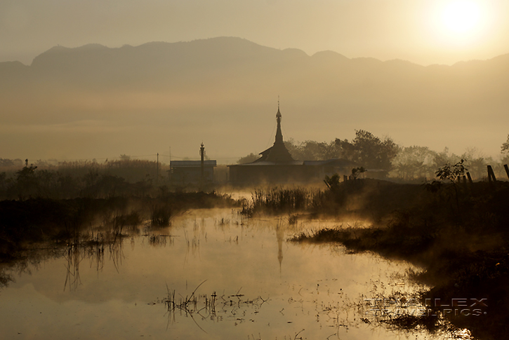 Golden Sunrise