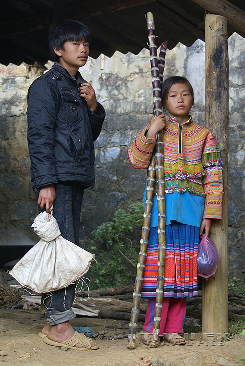 Flower Hmong Market